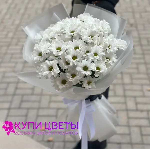 Лунный Поцелуй